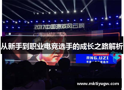 从新手到职业电竞选手的成长之路解析