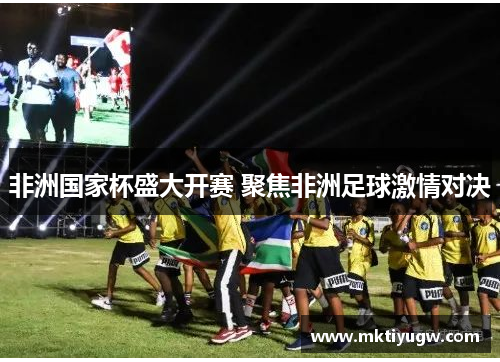 非洲国家杯盛大开赛 聚焦非洲足球激情对决