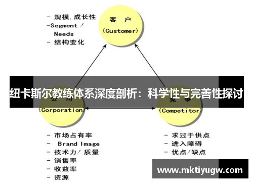 纽卡斯尔教练体系深度剖析：科学性与完善性探讨